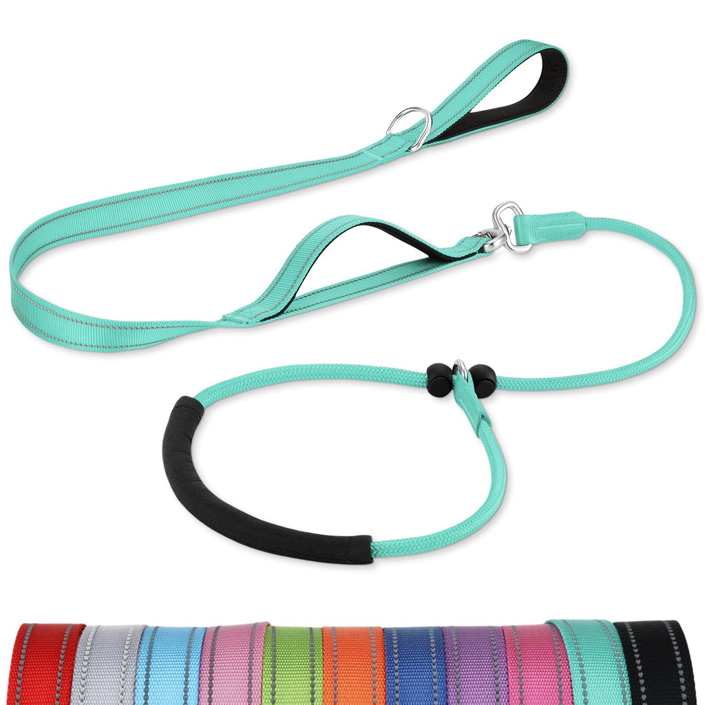 6 FT Slip Leads for Dogs, Reflective Dog Lead with Padded Double Handle, No Tangle Dog Training Leashes for Small & Medium & Large Dogs, Turquoise 6 ft - PawsPlanet Australia
