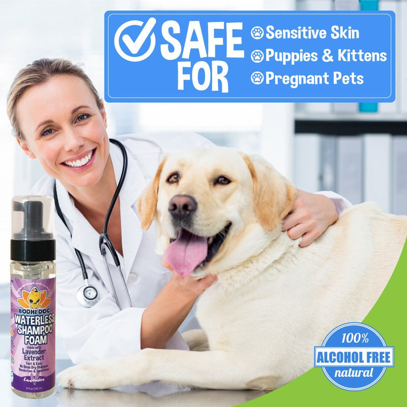 Foaming Dry Pet Shampoo No Rinse Cleaner | All Natural Waterless Foam Mousse for Dogs and Cats | Best for Bathless Cleaning & Pet Odor Eliminator | Made in USA - 1 Bottle 8oz (Lavender) - PawsPlanet Australia