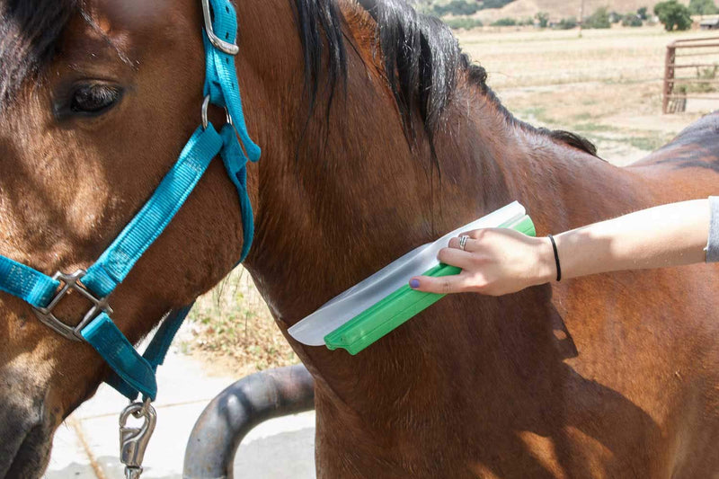 [Australia] - One Pass Horse & Livestock Body Blade & Sweat Scraper. Bonus XL Microfiber Towel for $1 