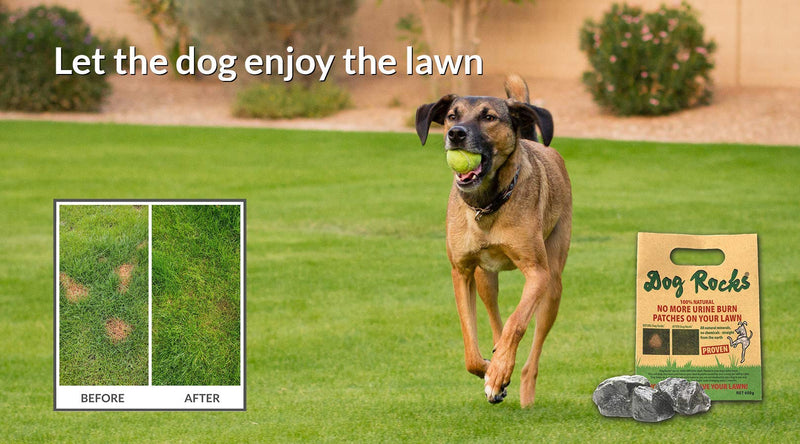 Dog Rocks - 100% Natural Grass Burn Prevention - Prevents Lawn Urine Stains - Three Small Bags - 6 Month Supply - PawsPlanet Australia