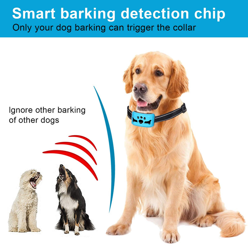 Bark Collar for Dogs,Rechargeable Anti Barking Training Collar with 7 Adjustable Sensitivity and Intensity Beep Vibration for Small Medium Large Dogs - PawsPlanet Australia