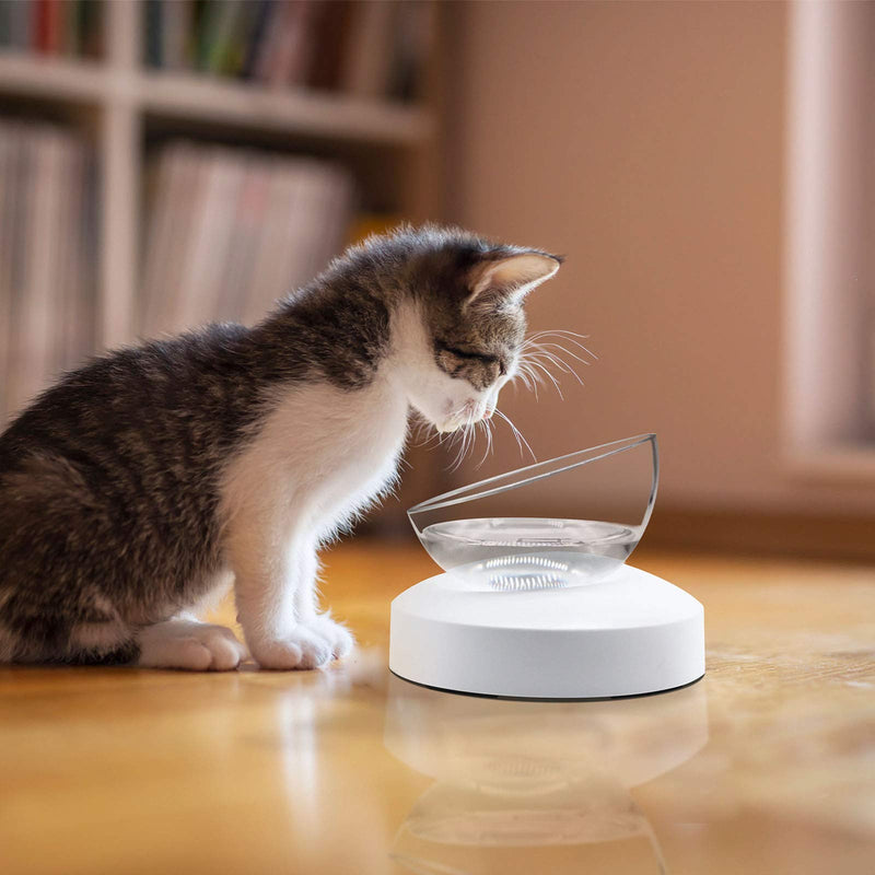 LumoLeaf Dog Cat Bowls, Elevated Cat Bowl, Transparent Raised Tilted Cat Food Water Bowl, Detachable & 0-30° Cat Food Dish Stand for Kitty and Puppy, Stress Free, Dishwasher Safe. Single Bowl - PawsPlanet Australia