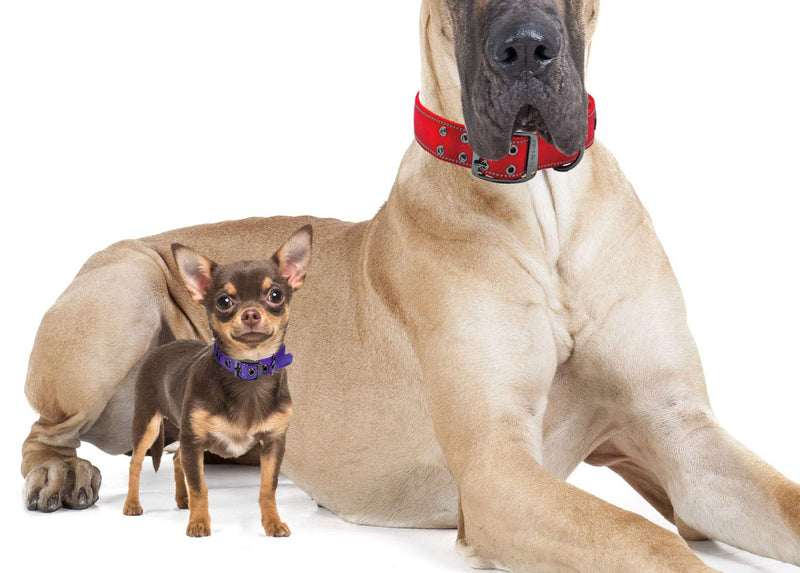Max and Neo MAX Reflective Metal Buckle Dog Collar - We Donate a Collar to a Dog Rescue for Every Collar Sold X-Small BLACK - PawsPlanet Australia