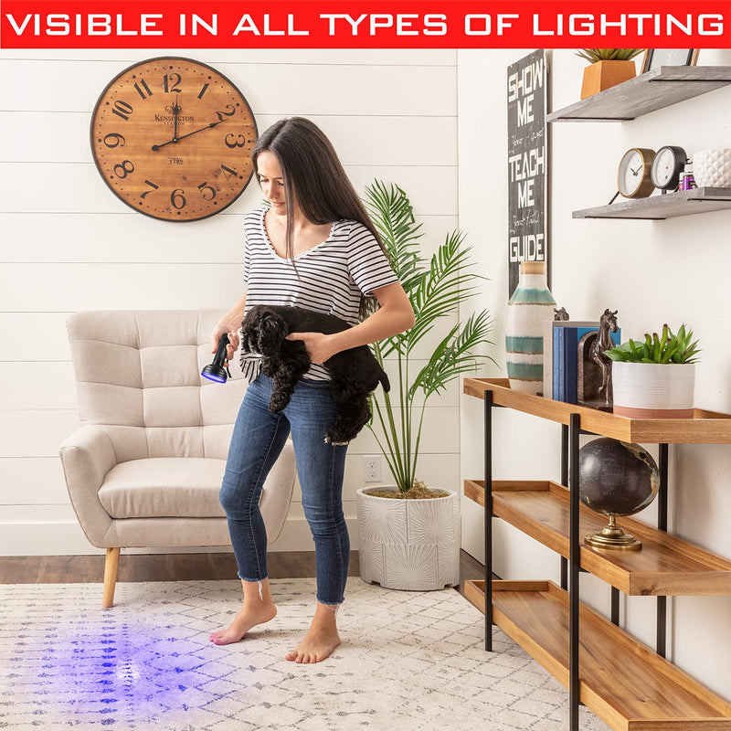 GearLight UV Black Light Flashlight XR98 - Powerful Patented 100 LED Blacklight Flashlights, Pet Stain Detector for Dog Urine, Scorpions, and Bed Bugs - Works with Carpet Odor Eliminator and Remover 100 LEDs - PawsPlanet Australia
