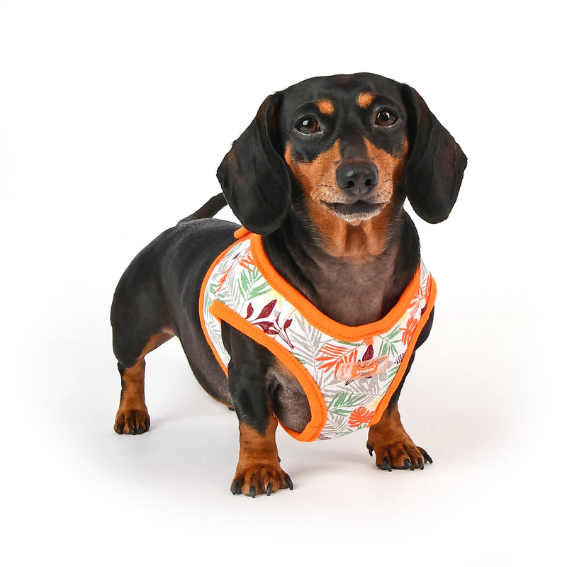 [Australia] - Puppia Rowan Vest Harness B Puppia Rowan Harness B Medium ORANGE 