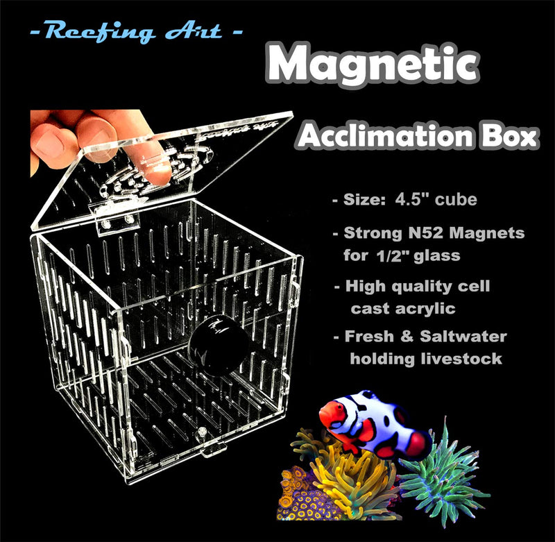 Reefing Art Small Magnetic Acclimation Breeder Box Anemone Coral Strong N52 Magnets for 1/2" Glass 4.5" Cube - PawsPlanet Australia