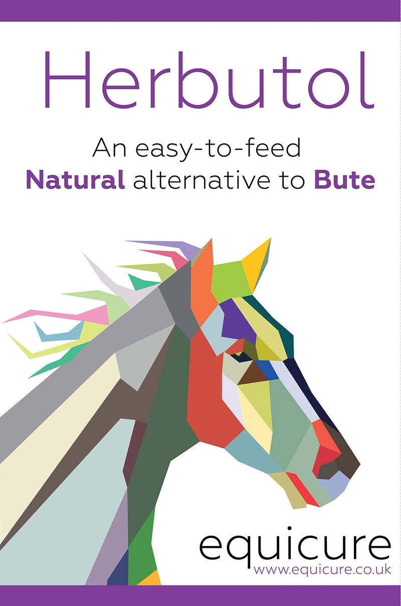 Equicure Herbutol 1 Litre - An Easy-to-Feed Natural Alternative to Bute for Horse/Pony - PawsPlanet Australia