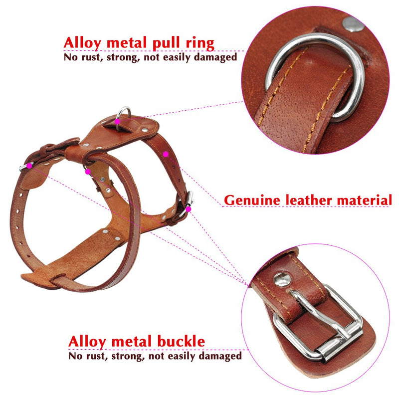 [Australia] - Beirui Genuine Leather Dog Harness Pet Training Walking Harness for Medium Large Dogs Pitbull Boxer Mastiff Chest for 24-29.5" Brown 