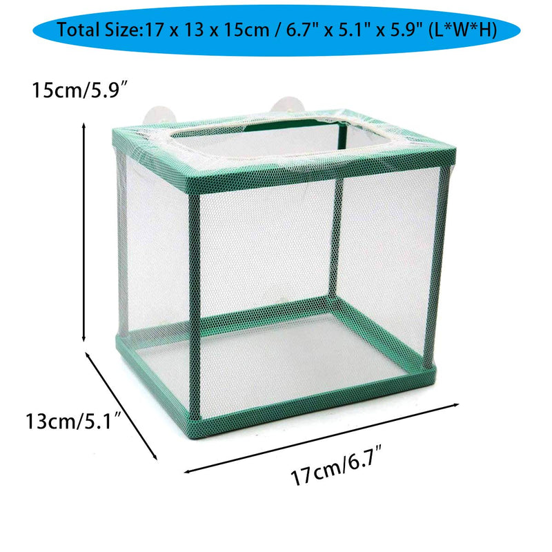 Aquarium Fish Breeder Box, Fish Isolation Box, Hatching Box, Juvenile Fish Spawning Incubator, Water Isolation Net Hatchery Green - PawsPlanet Australia