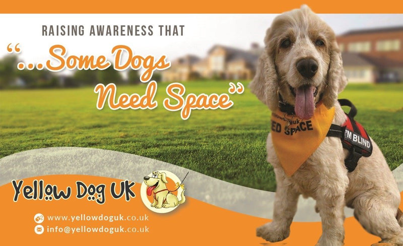 Yellow Dog UK Tabard with reflective strip - My Dog Needs Space - PawsPlanet Australia