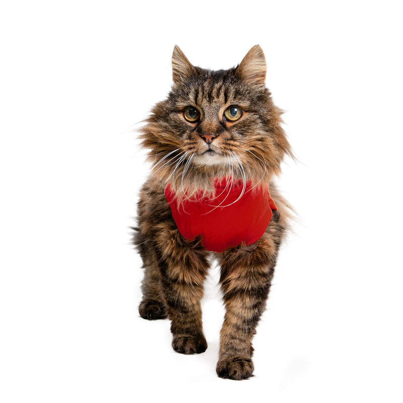 MPS Medical Pet Shirt Cat, Surgery Recovery Suit, Red, XXX-Small - PawsPlanet Australia
