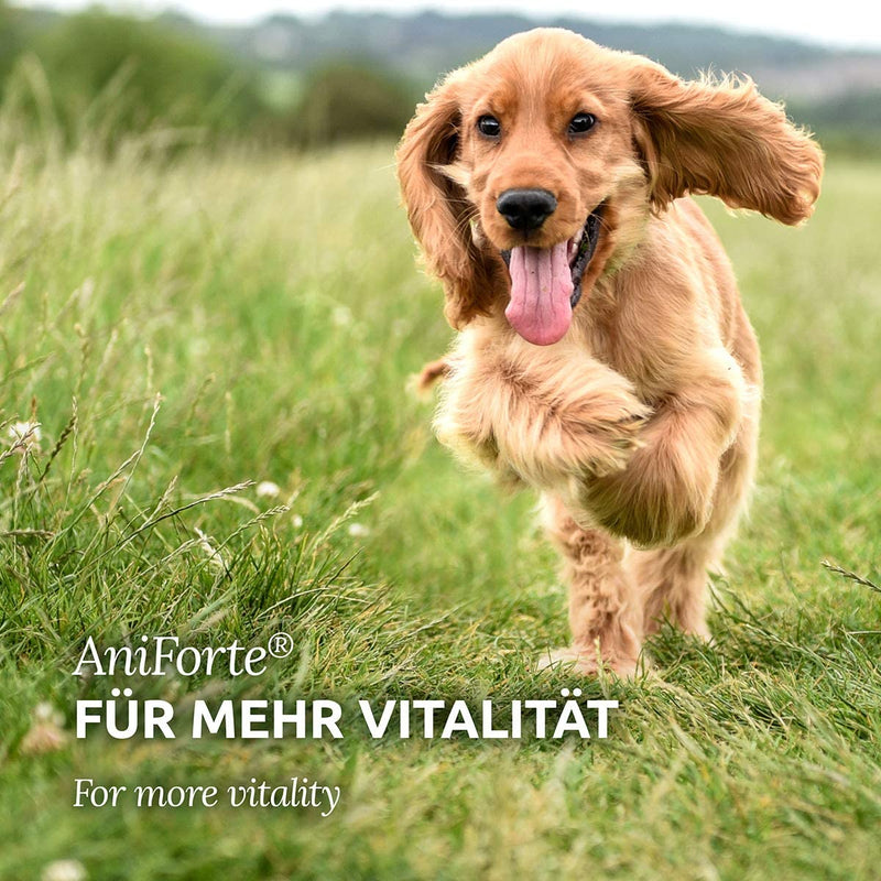 AniForte Fur Harmony Fur Care for Dogs and Cats Vital Powder 250g - Natural Powder for Shiny Coat, Optimal Care from The Inside for Vital Skin and Coat, Supports Metabolism & Immune System - PawsPlanet Australia