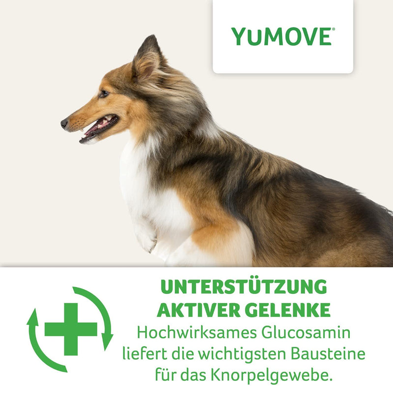 YuMOVE joint tablets for dogs with green-lipped mussel, glucosamine, chondroitin - hip and joint supplement for stiff adult dogs | 6 to 8 years | 120 tablets | Lintbells 120_tablets - PawsPlanet Australia