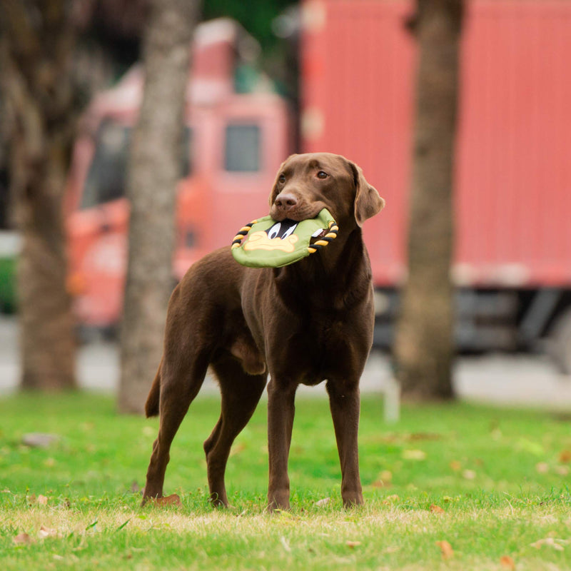 [Australia] - Warner Brothers Looney Tunes Fabric Frisbee | Bugs Bunny, Porky Pig, Daffy Duck Varieties | Fun and Lightweight Dog Frisbee is a Great Dog Toy for All Dogs 