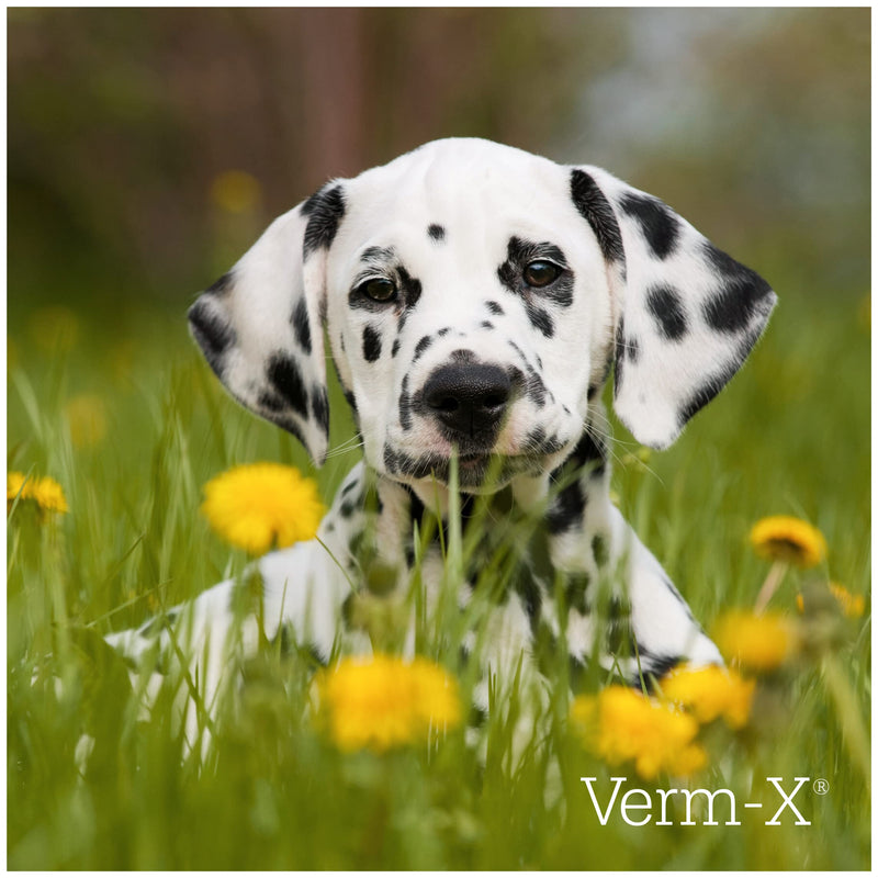 Verm-X All Natural Treats for Dogs. Supports Intestinal Hygiene. Vet Approved. UFAS Assured. Restores and Maintains Gut Vitality. Wormwood Free Recipe. 1.3 kg (Pack of 1) - PawsPlanet Australia