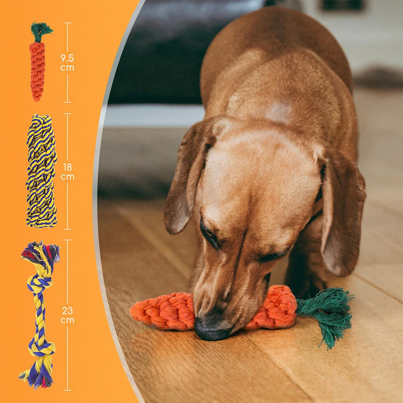 Nobleza - Pack of 10 Dog Toys, Ropes for Teething or Training, Dog Chew Rope Toy Durable Teething Pack for Puppy, knotted Cotton Toy, Ideal for Dental Care Dog Chew Toy Set with Box - PawsPlanet Australia