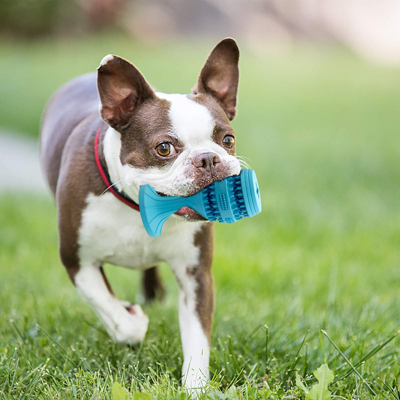 Dog Chewing Toy Set for Aggressive Chewers ,2 Pack Milk Flavor Teething Toys for Medium Large Breed,100% Natural Rubber Toys Fun to Teething and Fetch,Blue 2 pcs - PawsPlanet Australia