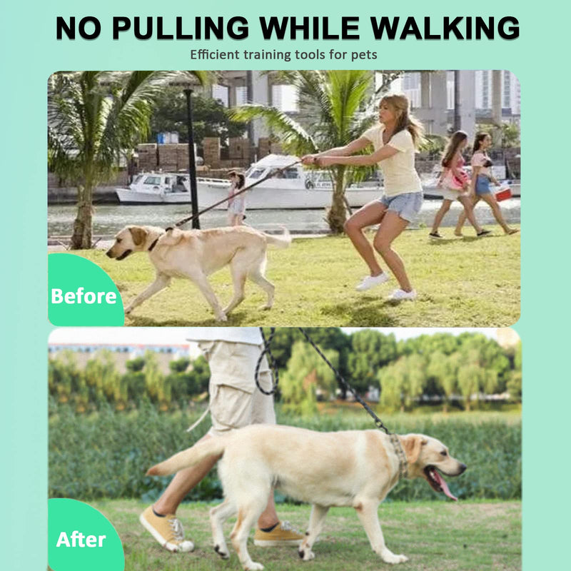 Adjustable Quick Release Dog Collar with Rubber Tip with Quick Release Buckle for Small Medium Large Dogs M/L(18-23" Neck, 3.5mm) silvery - PawsPlanet Australia