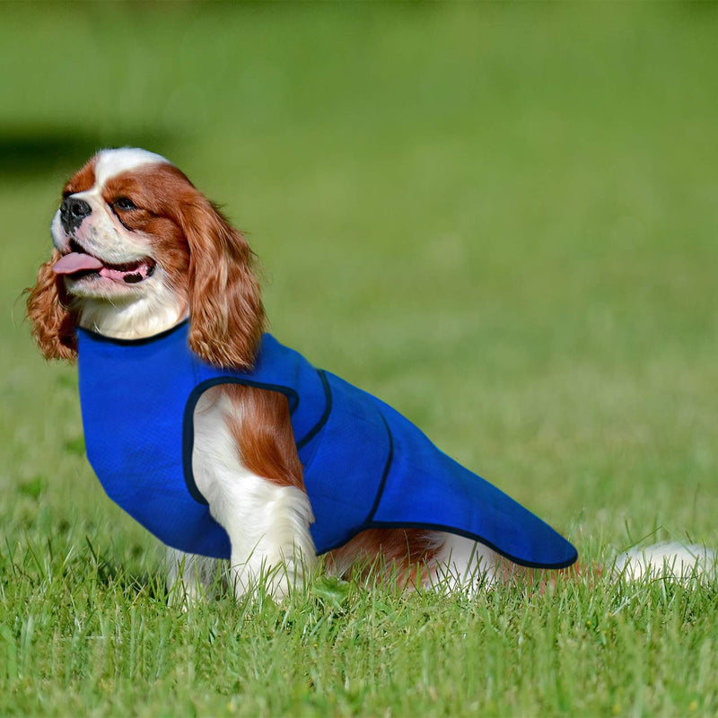 Lautus Pets Medium Dog Cooling Vest - Lightweight Dog Cooling Jacket for Medium Dogs. (e.g. Pug, King Charles Cavalier) M - Medium 35cm Blue - PawsPlanet Australia