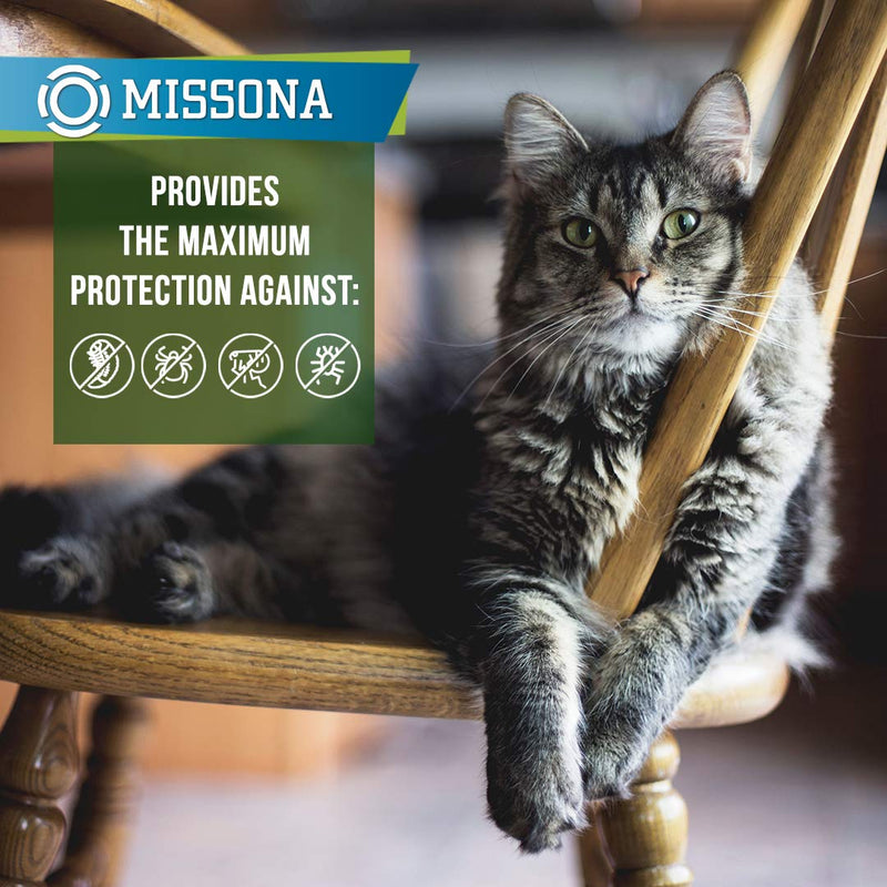 Missona Flea Collar for Cats and Kittens - 8 Months Flea Prevention for Cats with Essential Oils Adjustable Waterproof Cat Flea Treatment 15 in 1 Pack - PawsPlanet Australia