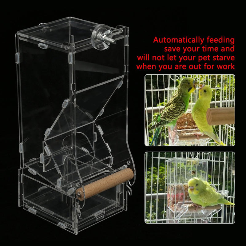 [Australia] - Yutiny Bird Seed Feeder Acrylic Parrots Birds Seeds Feeding Station Automatic Birds Foraging Systems Bird Food Feeder #1 