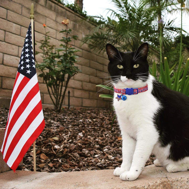 BoomBone Patriotic Cat Collar Breakaway with Bell and American Flag Charm,Puppy Collars for Small Dogs - PawsPlanet Australia