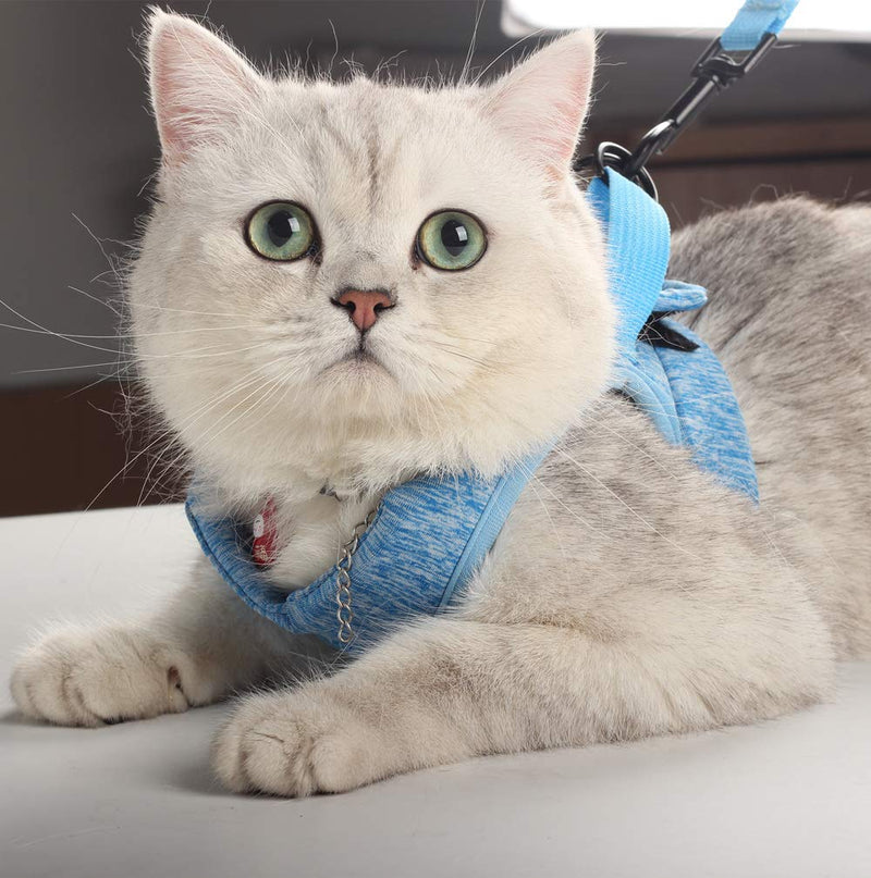 Dotoner Cat Harness and Leash Set Ultra-Light Kitten Collar Soft and Comfortable Cat Walking Jacket Running Cushioning escape proof Suitable for Puppies Rabbits with Cationic Fabric(S, blue) S (Pack of 1) - PawsPlanet Australia