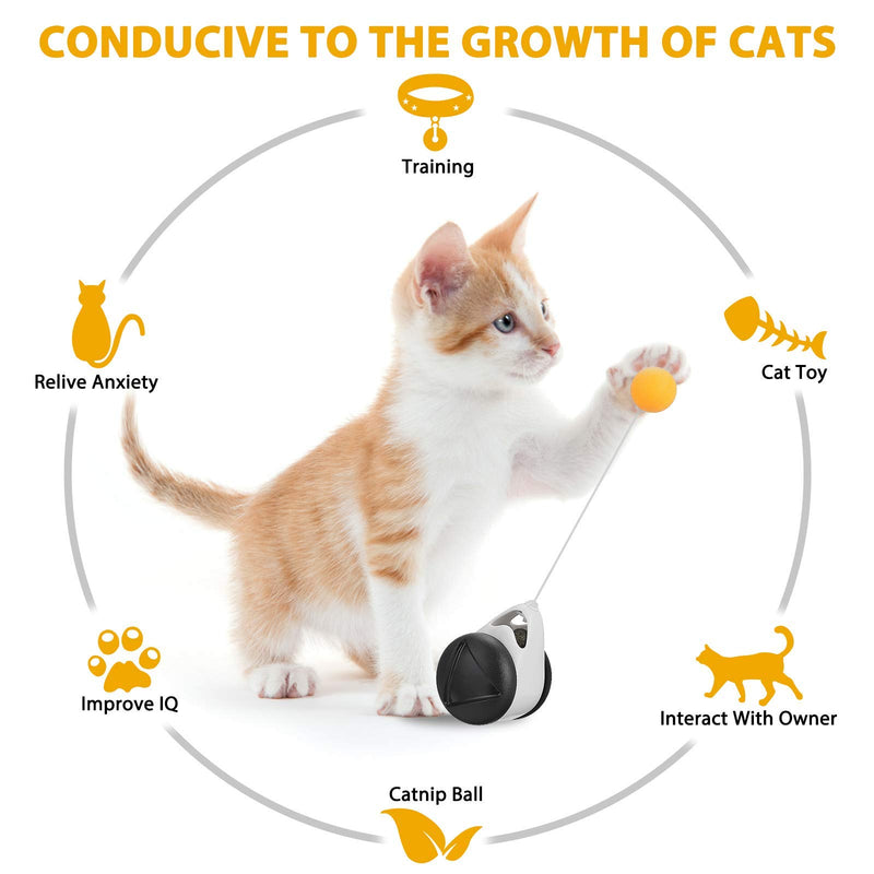 [Australia] - JOSEKO Cat Toy Roly-Poly Toy for Kitty Kitten Interactive Toys for Indoor Cats with Ball and Feather black 