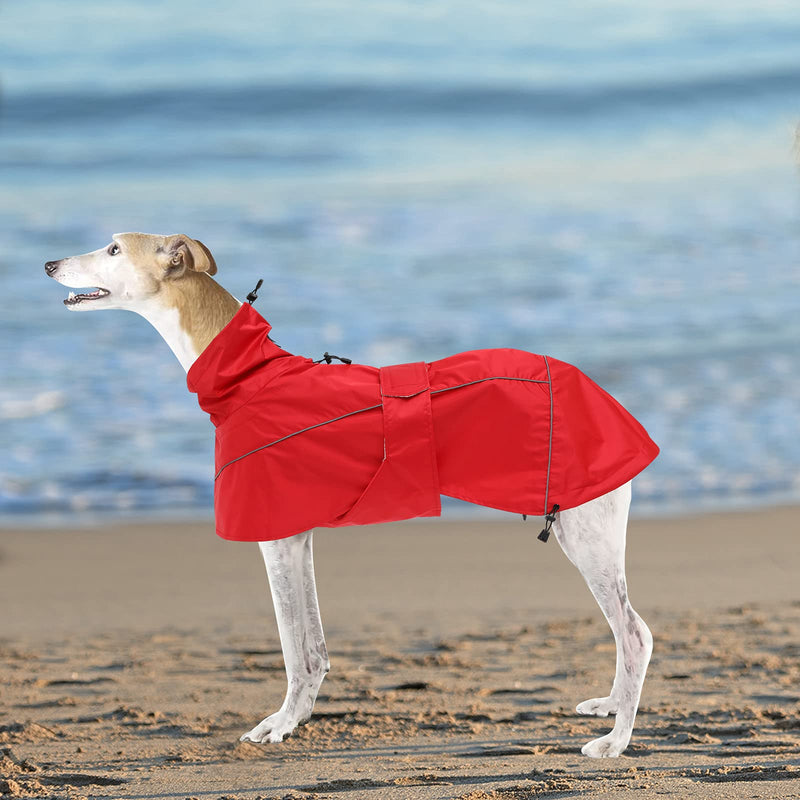 Greyhound Lurcher Raincoat, Whippet Rain Gear with Reflective Bar, Rain/Waterproof, Adjustable Bands and drawstring in Autumn and winter - Red - XS - PawsPlanet Australia