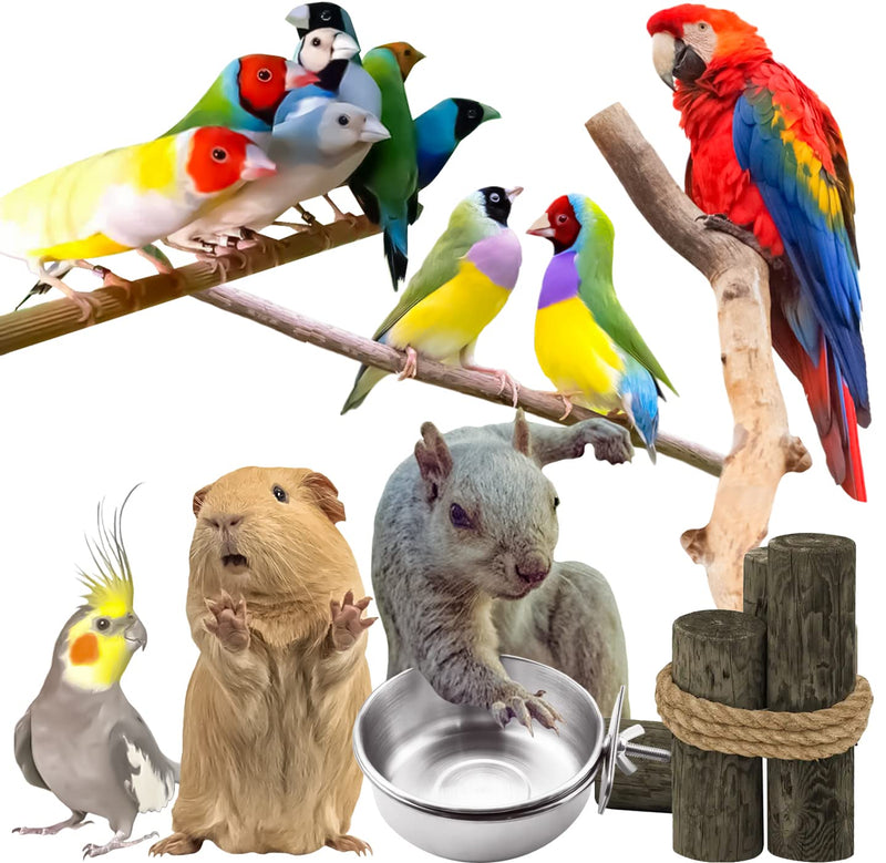 MotBach 3 Pieces Stainless Steel Bird Feeding Dish Cups, Bird Feeder Parrot Food Water Bowls with Clamp, Pet Cage Cups Holder for Bird Parrot Cockatiel Conure Budgies Parakeet Small Animal - PawsPlanet Australia