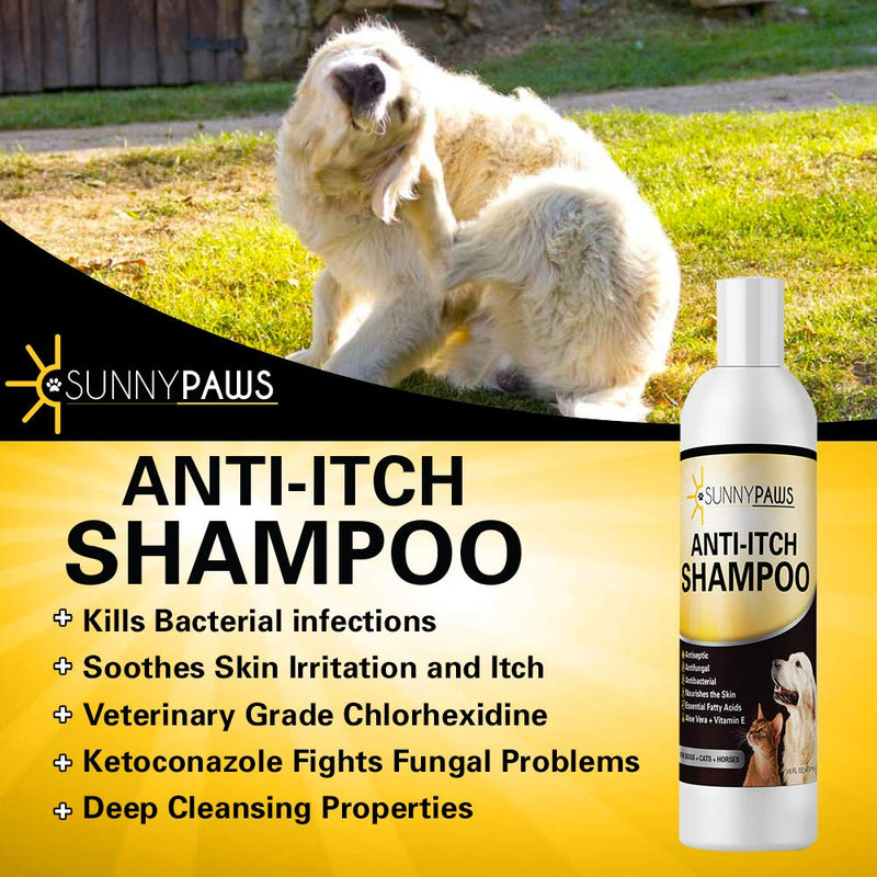 [Australia] - Sunny Paws Anti-Itch Shampoo for Dogs Cats and Horses - 16oz Medicated Ketoconazole & Chlorhexidine (Antibacterial, Anti Fungal) 