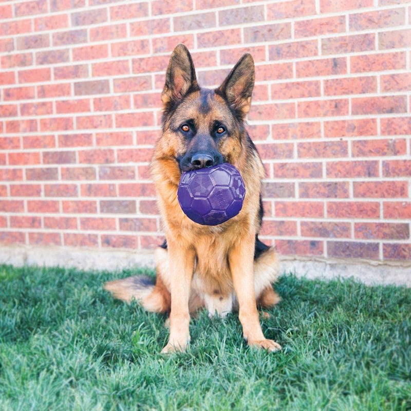 Kong Flexball for medium and large dogs - PawsPlanet Australia