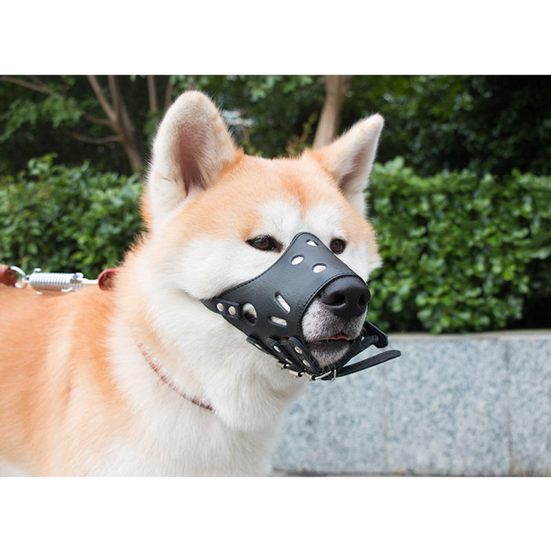 PETCUTE Dog muzzle Anti bite Leather Dog Muzzle prevent biting barking chewing M Black - PawsPlanet Australia