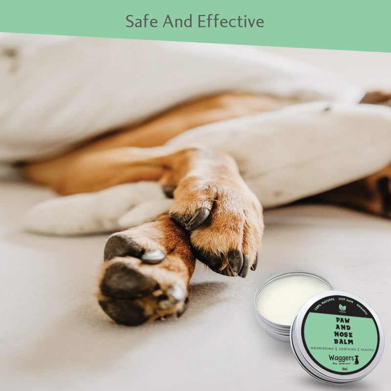 Waggers Pet Company Organic Dog Nose And Paw Balm | 100% Natural | Relieve and Prevent Cracked Paws And Itchy Nose | Lick Safe Paw Cream And Fragrance-Free Wax Balm - PawsPlanet Australia