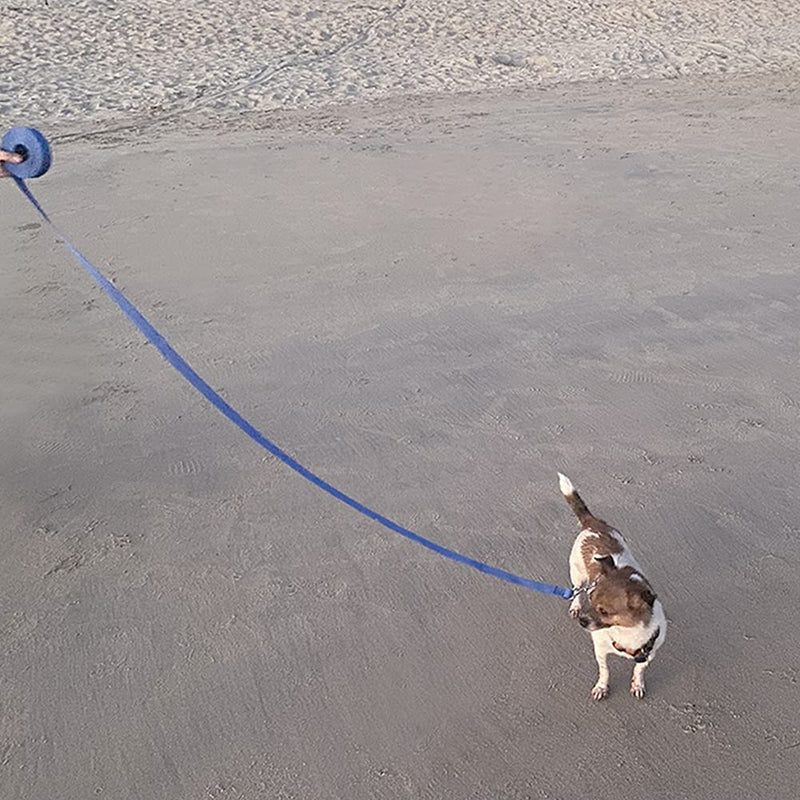 Leeyunbee 15M long dog leash training leash, towing leash for dogs with metal buckle and padded handle, robust training leash made of durable nylon, ideal for training and playing (blue) blue - PawsPlanet Australia