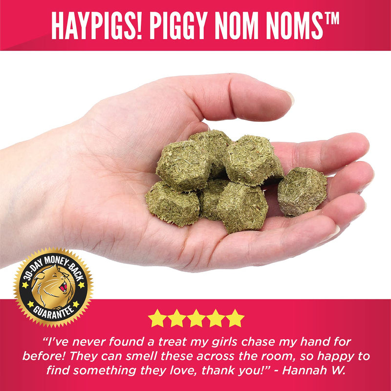 HayPigs Piggy Nom Noms 10 x 70g Blueberry and Basil Natural Guinea Pig Treats with Guinea Pig Vitamin C - Also Perfect for Rabbit Treats 10 x Blueberry & Basil - PawsPlanet Australia