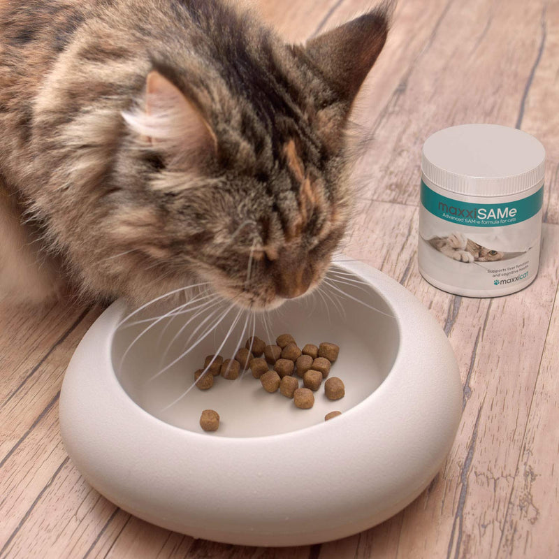 maxxipaws maxxiSAMe Advanced SAM-e Liver and Cognitive Supplement for Cats Given with Food, Powder 90 g 90g - PawsPlanet Australia