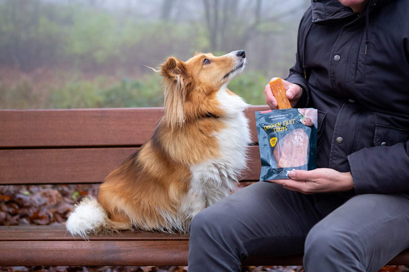 Pets Unlimited Large Chicken Filet Strip, 150g, A premium meaty treat with no artificial Colours flavours or preservatives - PawsPlanet Australia