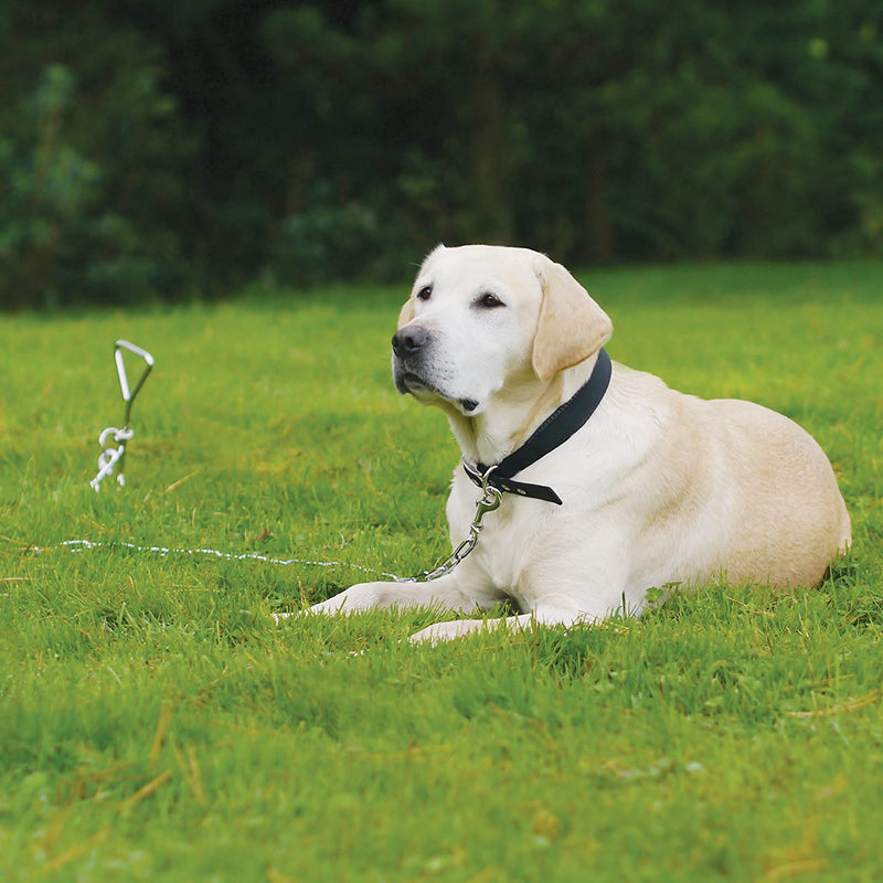 Dog Stake Metal, Pet Stake Spiral Tie-Out Pet Supply Tether Dog Leash Anchor Stakes with Spiral Shape Suitable for Outdoor Yard and Camping Small, Medium and Large Pets, Stake-Out Spike, Dog tie out - PawsPlanet Australia