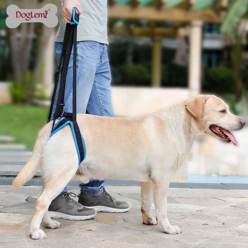 BePetMia Dog Lift Support Harness - Dog Support Harness for Back Legs, Help Lift the Back Legs, Dog Rear Harness Support for Elderly, injured, Sick and Disabled Dogs (M: 13.8-17.7 inch) M: 13.8-17.7 inch - PawsPlanet Australia