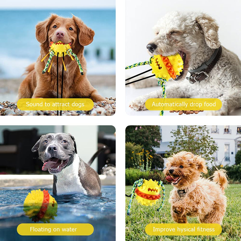 Dog Chew Toys for Aggressive Chewers Double Suction Cup Dog Toy Interactive Indestructible Dog Puzzle Toys Squeaky Molar Bite Ball for Teeth Cleaning Food Dispensing XL Dog Toys - PawsPlanet Australia