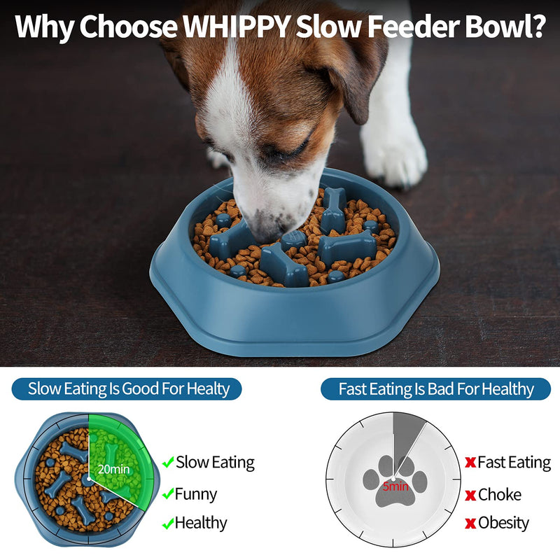 Slow Feeder Dog Bowl - Slow Eating Dog Bowl - Dog Bowls to Slow Down Eating - Pet Bloat Stop Interactive Puzzle Dog & Cat Bowl Pet Fun Feeder by Pewwt (Blue) blue - PawsPlanet Australia