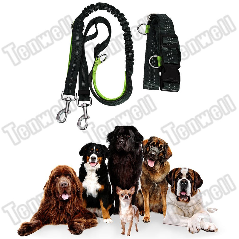 [Australia] - Tenwell Pets Reflective Hands Free Dog Leash with Adjustable Waist Belt Dual Handle Running Leash for Running, Walking, Hiking single bungee Green 