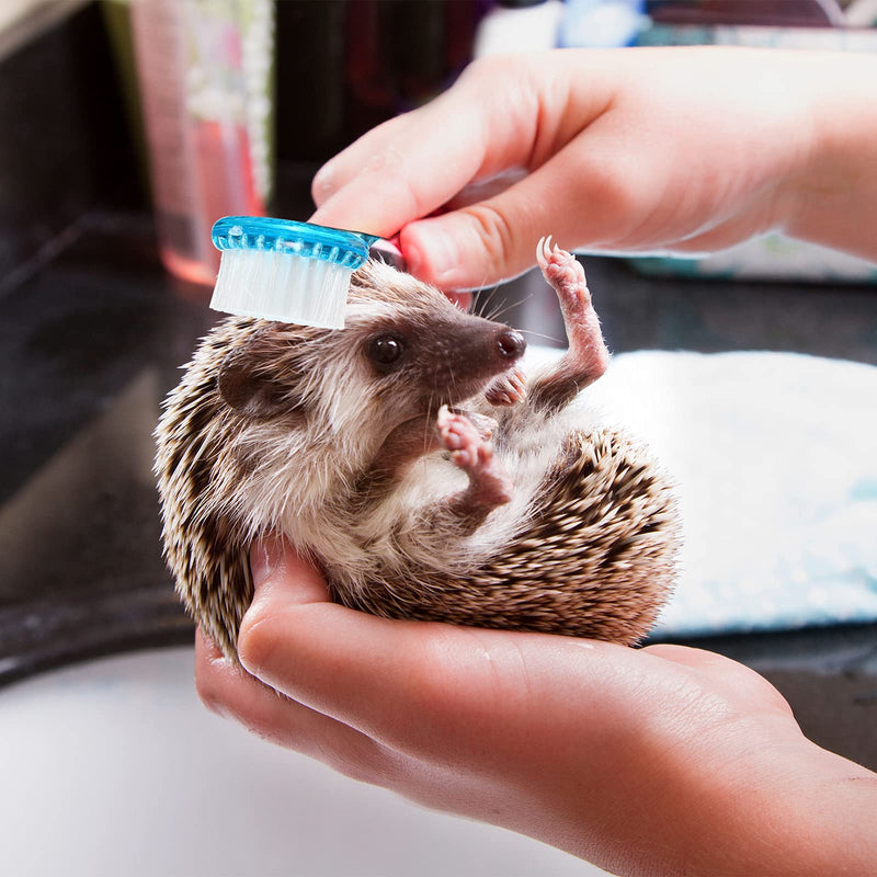 2 Pieces Hedgehog Bathing Brush with Nail Toenail Clipper with Magnifier Round Head Cleaning Bath Brush Nail Clipper Trimmer for Pet Hamster Small Animal - PawsPlanet Australia