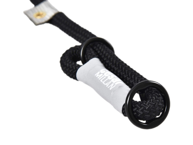 Cesar Millan Nylon Training Lead™ Training leash for dogs – 2 in1 dog collar and leash (S/M, Black) S/M - PawsPlanet Australia