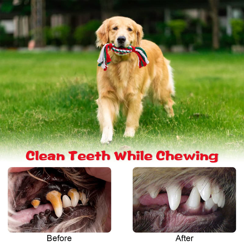 Dereine Christmas dog toy, 3 pieces dog Christmas toy, Christmas dog, candy cane toy pet, dog chew toy rope, dog toy rope for teeth cleaning, suitable (C) C - PawsPlanet Australia