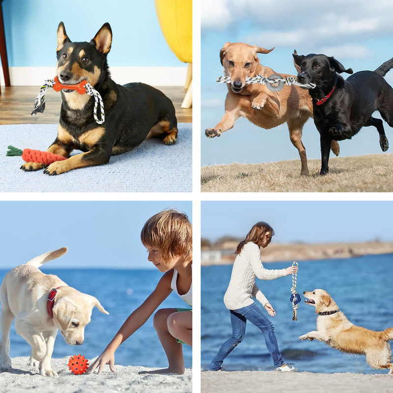 GENPAR Dog Toys, 5pcs Rope Ball Dog Chew Toy Set, Made of Natural Cotton, Interactive Pet Rope Toy, for Small Medium Dogs 5pcs toys - PawsPlanet Australia