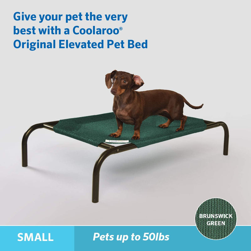 Coolaroo Pet Bed Replacement Cover Small Brunswick Green - PawsPlanet Australia