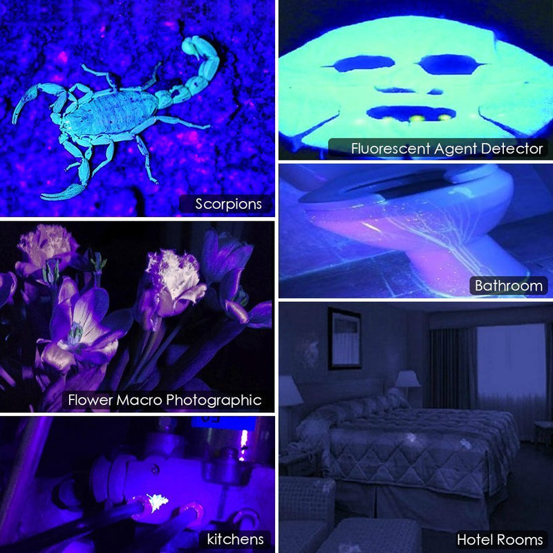 Homrich UV Torch,UV Flashlight for Pet Urine Detector,51 LEDs Ultraviolet Blacklight Stain Detector for Dog Urine,Pet Stains,Scorpion,Bed Bug on Carpet/Rugs/Floor 51 LEDs - PawsPlanet Australia