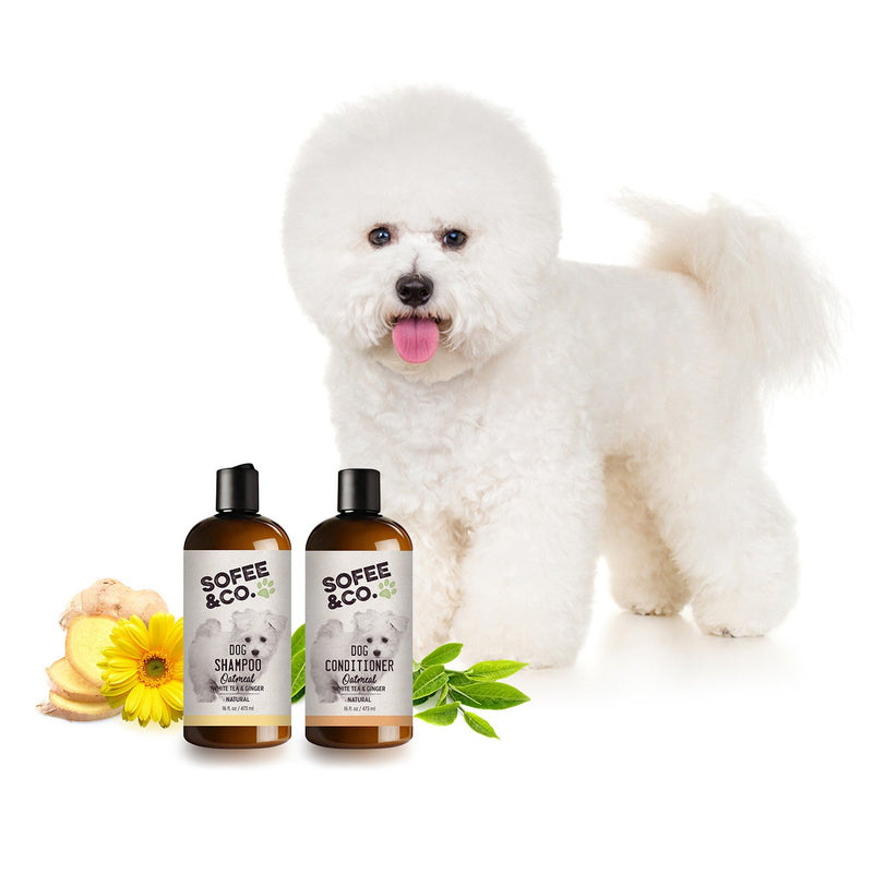 [Australia] - Sofee & Co. Natural Oatmeal Dog Puppy Shampoo - Clean Moisturize Soothe Soften Norma, Dry Itchy Allergy Sensitive Skin. Deodorize and Detangle 16 oz (White Tea & Ginger) 